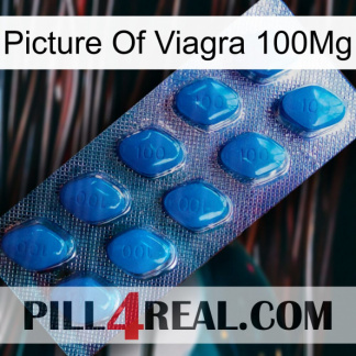 Picture Of Viagra 100Mg viagra1